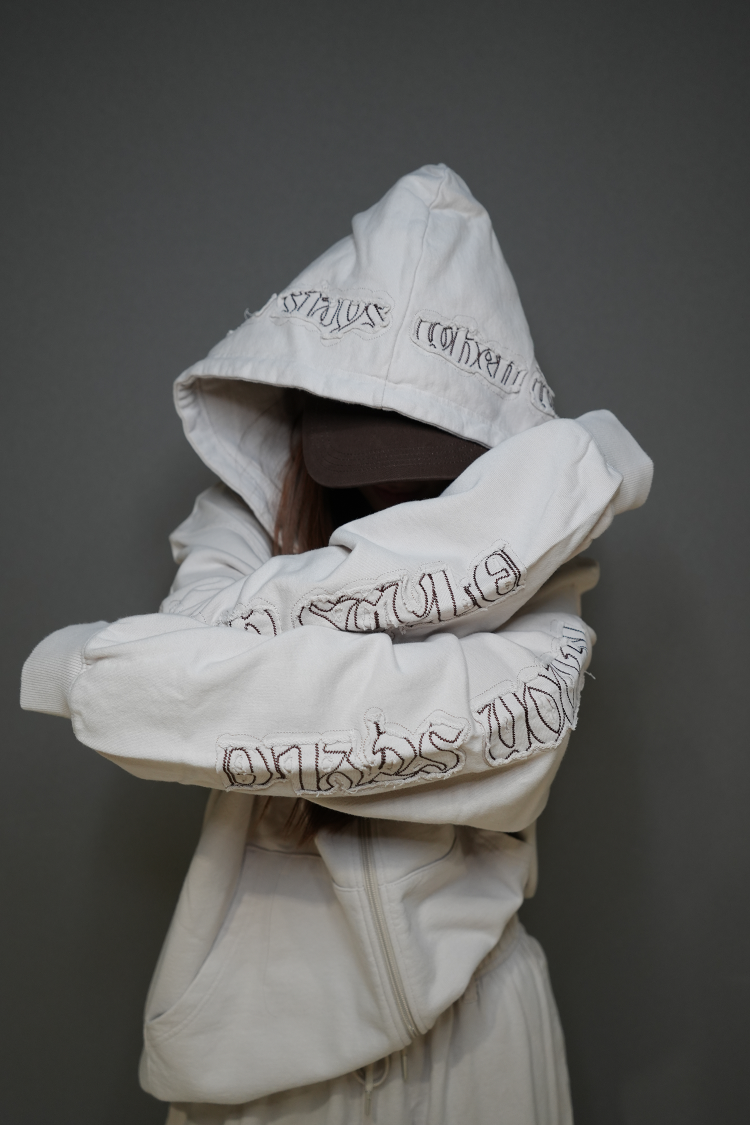Tone-on-Tone Logo Hood Zip-up / beige