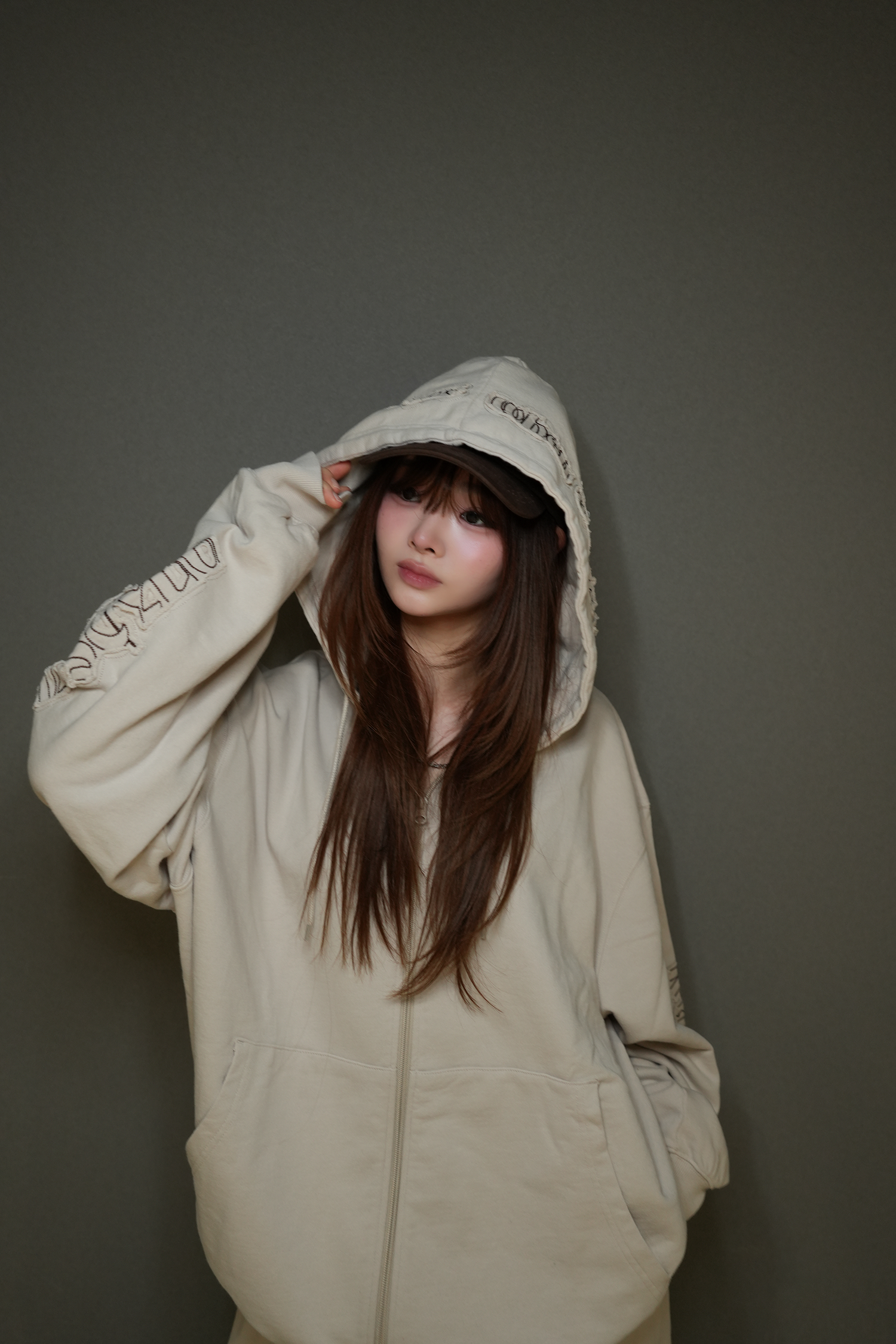 Tone-on-Tone Logo Hood Zip-up / beige